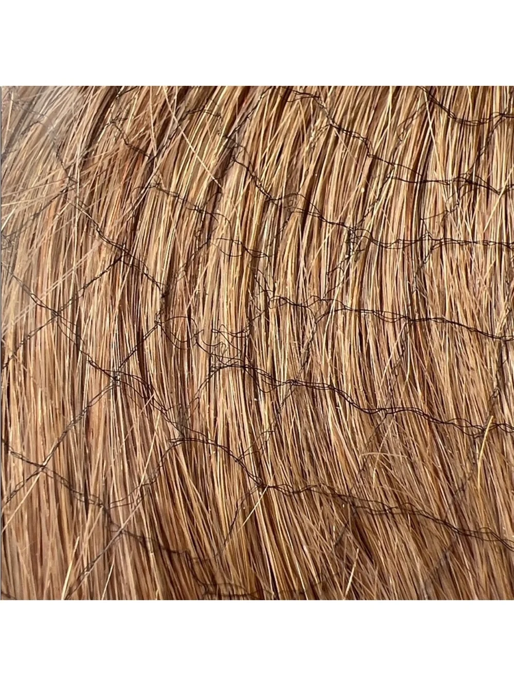 👱‍♀️ Bellami Side Swept Clip-In Bangs Ash Brown NWT